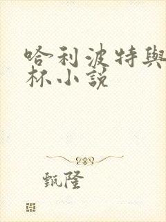 哈利波特与火焰杯小说