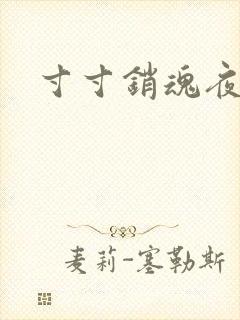 寸寸销魂夜春光