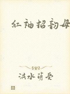 红袖招韵母攻略