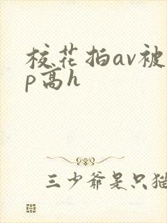 校花拍av被np高h