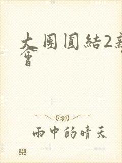 大团圆结2亲情会