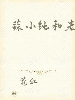 苏小纯和老苏