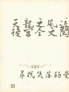 天龙之风流猎艳后宫全文阅读