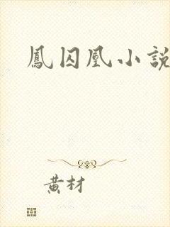 凤囚凰小说