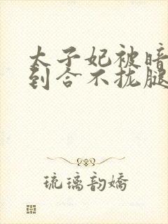 太子妃被暗卫C到合不拢腿