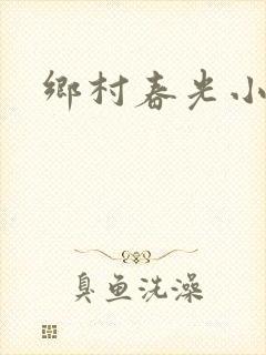 乡村春光小说