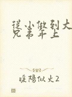 从小做到大骨科兄弟年上