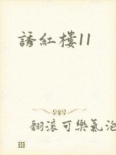 诱红楼11