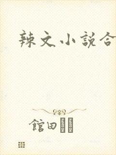 辣文小说合集