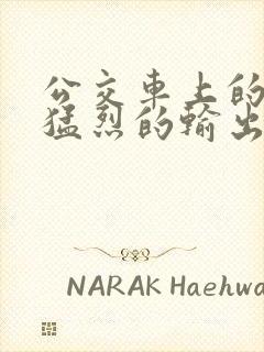 公交车上的诗请猛烈的输出阅读