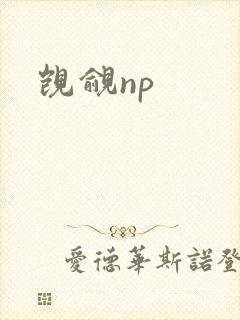 觊觎np