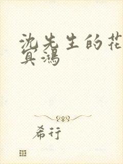 沈先生的花式调冥鸿