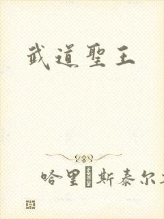 武道圣王