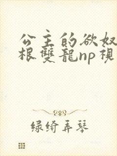 公主的欲奴h四根双龙np视频