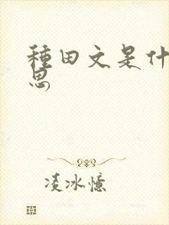种田文是什么意思