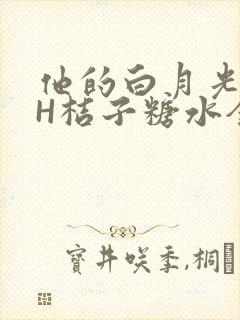 他的白月光HVH桔子糖水全文
