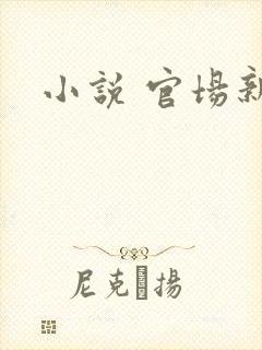 小说 官场新贵