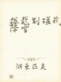 总裁别碰我 韩降雪