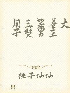 用玉器养大的皇子双男主