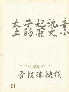 太子妃沈音和皇上的宠文小说