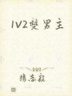 1V2双男主