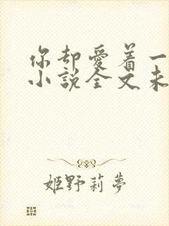 你却爱着一个他小说全文未删减免费