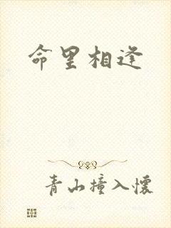 命里相逢