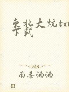 东北大炕txt下载