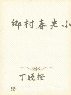 乡村春光小说
