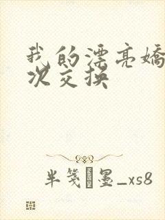 我的漂亮娇妻初次交换