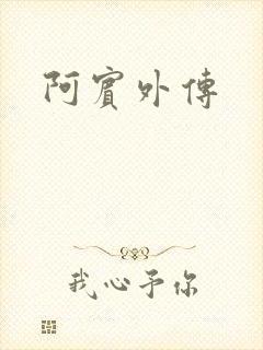 阿宾外传