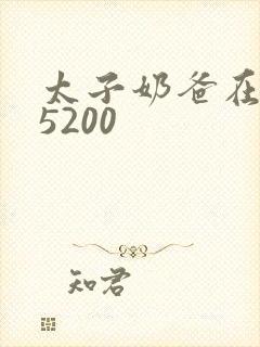 太子奶爸在花都5200