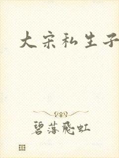 大宋私生子