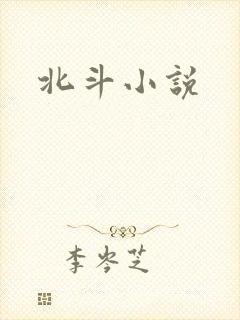 北斗小说