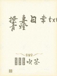 撩妻日常txt青灯