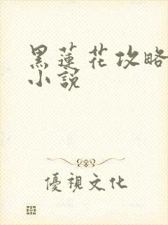 黑莲花攻略手册小说