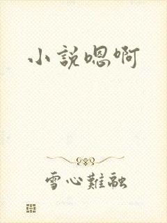 小说嗯啊
