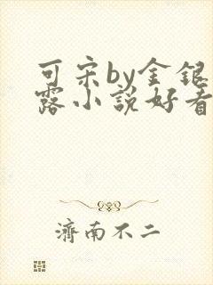 可宋by金银花露小说好看吗