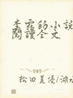 李霖的小说免费阅读全文