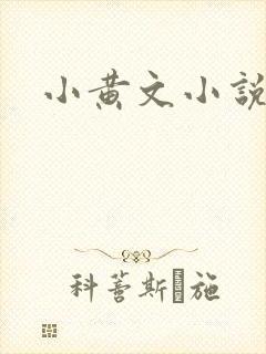 小黄文小说