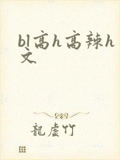 bl高h高辣h文