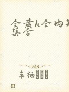 全黄h全肉短篇集合