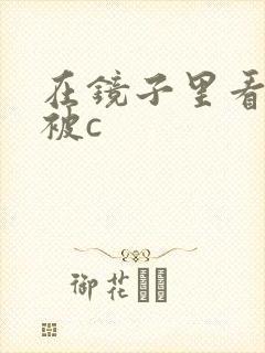 在镜子里看自己被c