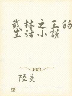 武林之王的退隐生活小说