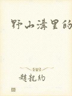 野山沟里的村庄