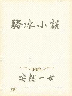 骆冰小说