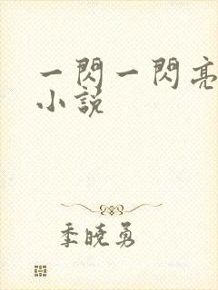 一闪一闪亮星星小说