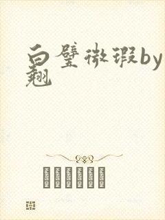 白璧微瑕by连翘