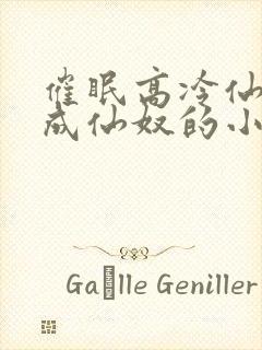 催眠高冷仙奴变成仙奴的小说