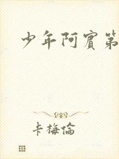 少年阿宾第二部